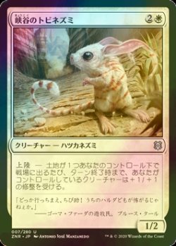 画像1: [FOIL] 峡谷のトビネズミ/Canyon Jerboa 【日本語版】 [ZNR-白U]