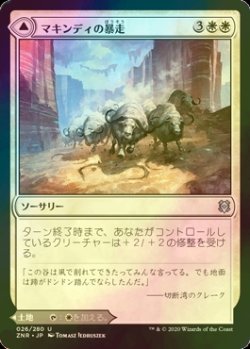 画像1: [FOIL] マキンディの暴走/Makindi Stampede 【日本語版】 [ZNR-白U]