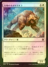 [FOIL] 台地のオオヤマネコ/Mesa Lynx 【日本語版】 [ZNR-白C]