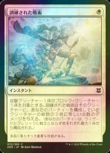 [FOIL] 訓練された戦術/Practiced Tactics 【日本語版】 [ZNR-白C]