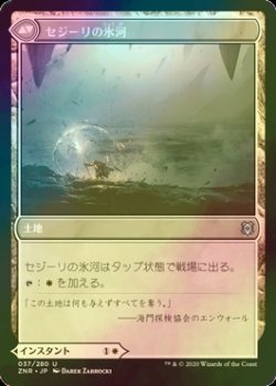 画像2: [FOIL] セジーリの防護/Sejiri Shelter 【日本語版】 [ZNR-白U]