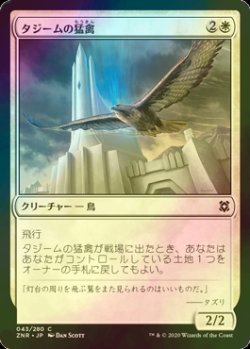 画像1: [FOIL] タジームの猛禽/Tazeem Raptor 【日本語版】 [ZNR-白C]