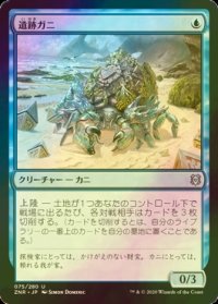 [FOIL] 遺跡ガニ/Ruin Crab 【日本語版】 [ZNR-青U]