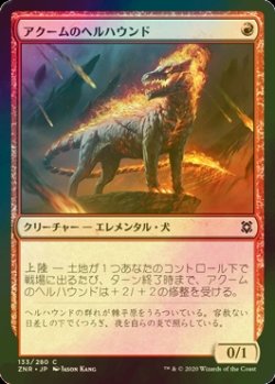 画像1: [FOIL] アクームのヘルハウンド/Akoum Hellhound 【日本語版】 [ZNR-赤C]