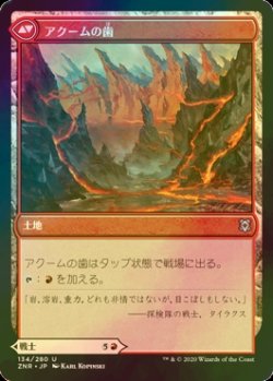 画像2: [FOIL] アクームの戦士/Akoum Warrior 【日本語版】 [ZNR-赤U]