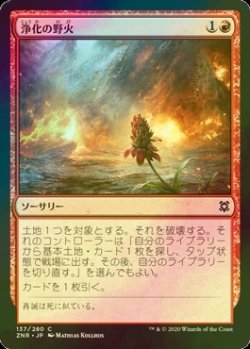 画像1: [FOIL] 浄化の野火/Cleansing Wildfire 【日本語版】 [ZNR-赤C]