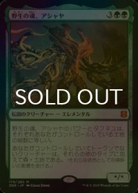 [FOIL] 野生の魂、アシャヤ/Ashaya, Soul of the Wild 【日本語版】 [ZNR-緑MR]