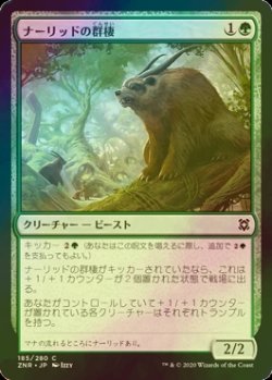 画像1: [FOIL] ナーリッドの群棲/Gnarlid Colony 【日本語版】 [ZNR-緑C]