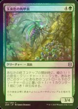 [FOIL] 玉虫色の角甲虫/Iridescent Hornbeetle 【日本語版】 [ZNR-緑U]