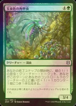 画像1: [FOIL] 玉虫色の角甲虫/Iridescent Hornbeetle 【日本語版】 [ZNR-緑U]