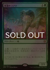 [FOIL] 水蓮のコブラ/Lotus Cobra 【日本語版】 [ZNR-緑R]