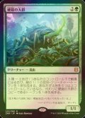 [FOIL] 硬鎧の大群/Scute Swarm 【日本語版】 [ZNR-緑R]