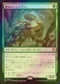 [FOIL] 群れのシャンブラー/Swarm Shambler 【日本語版】 [ZNR-緑R]