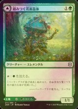 [FOIL] 絡みつく花面晶体/Tangled Florahedron 【日本語版】 [ZNR-緑U]