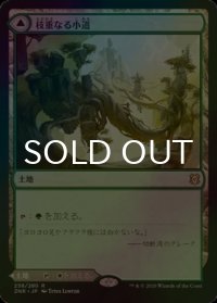 [FOIL] 枝重なる小道/Branchloft Pathway 【日本語版】 [ZNR-土地R]