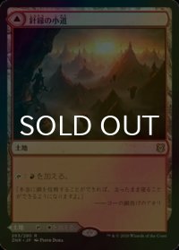 [FOIL] 針縁の小道/Needleverge Pathway 【日本語版】 [ZNR-土地R]