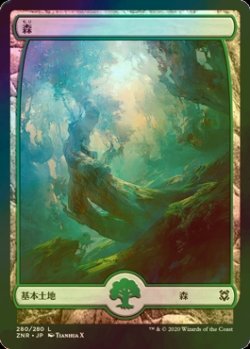 画像1: [FOIL] 森/Forest No.280 (全面アート版) 【日本語版】 [ZNR-土地C]