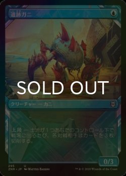 画像1: [FOIL] 遺跡ガニ/Ruin Crab (ショーケース版) 【日本語版】 [ZNR-青U]