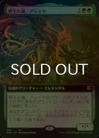 [FOIL] 野生の魂、アシャヤ/Ashaya, Soul of the Wild (拡張アート版) 【日本語版】 [ZNR-緑MR]