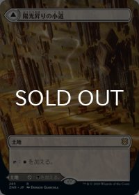 陽光昇りの小道/Brightclimb Pathway (全面アート版) 【日本語版】 [ZNR-土地R]
