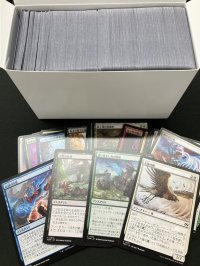 タルキール：龍嵐録 日本語 コモン 詰め合わせ 800枚セット