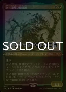 魂の洞窟 ボーダーレス 2x2 英foil 2枚セット ダブルマスターズ2022 (日・英) - シングルスター (Page 13)