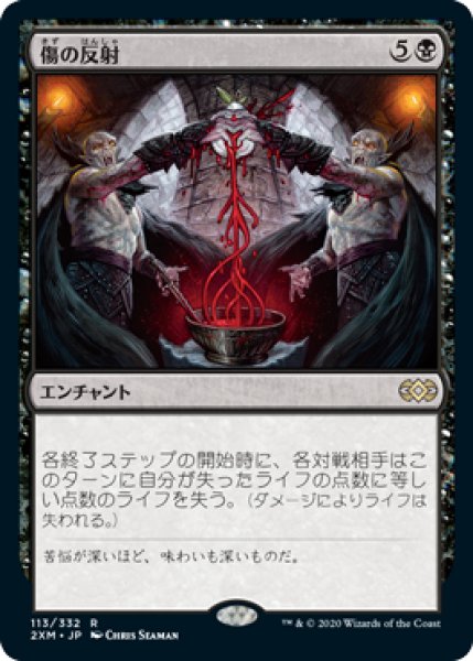 画像1: 傷の反射/Wound Reflection 【日本語版】 [2XM-黒R] (1)