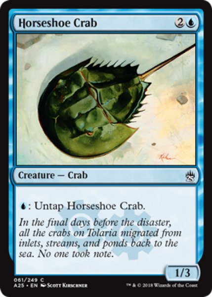 画像1: カブトガニ/Horseshoe Crab 【英語版】 [A25-青C] (1)