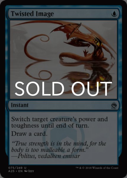 画像1: よじれた映像/Twisted Image 【英語版】 [A25-青U] (1)