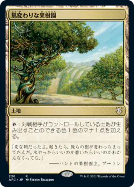 画像1: 風変わりな果樹園/Exotic Orchard 【日本語版】 [AFC-土地R] (1)