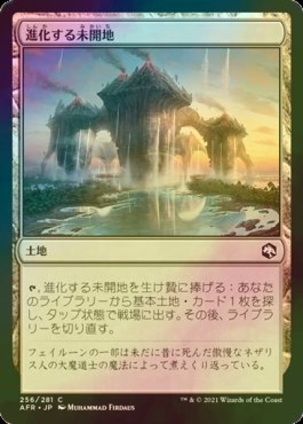 画像1: [FOIL] 進化する未開地/Evolving Wilds 【日本語版】 [AFR-土地C] (1)