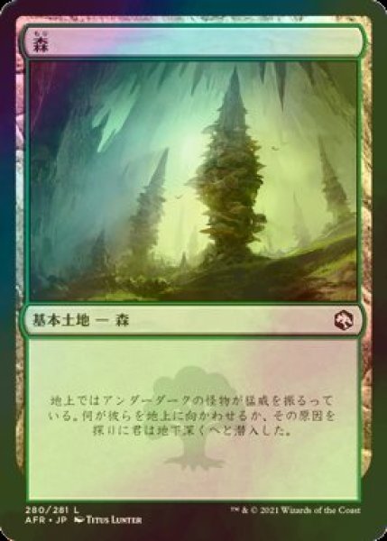 画像1: [FOIL] 森/Forest No.280 【日本語版】 [AFR-土地C] (1)