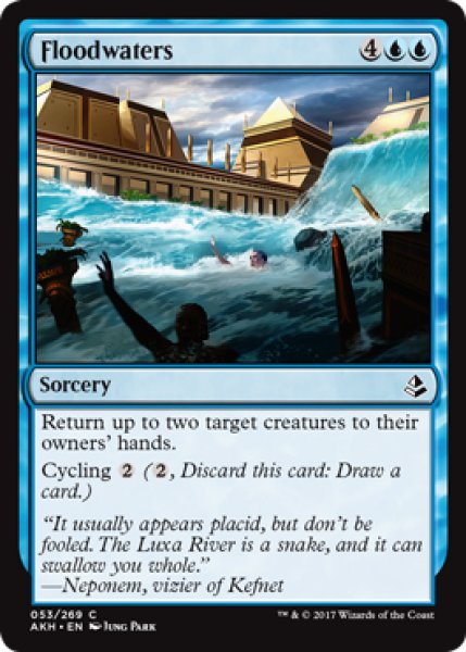 画像1: 大水/Floodwaters 【英語版】 [AKH-青C] (1)