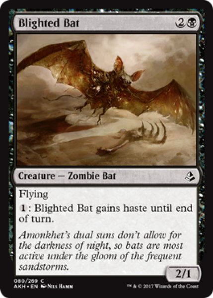 画像1: 枯死コウモリ/Blighted Bat 【英語版】 [AKH-黒C] (1)