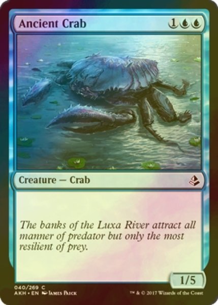 画像1: [FOIL] 古代ガニ/Ancient Crab 【英語版】 [AKH-青C] (1)