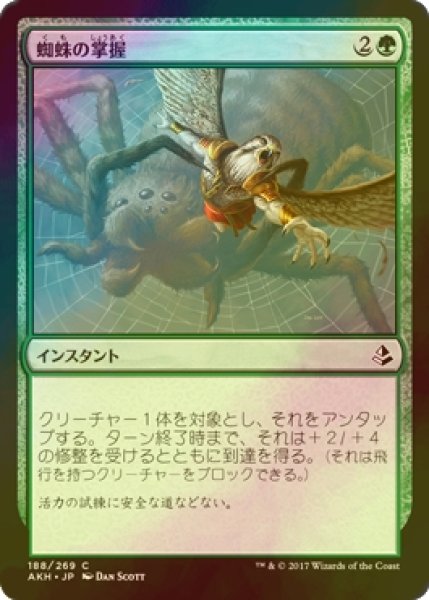 画像1: [FOIL] 蜘蛛の掌握/Spidery Grasp 【日本語版】 [AKH-緑C] (1)