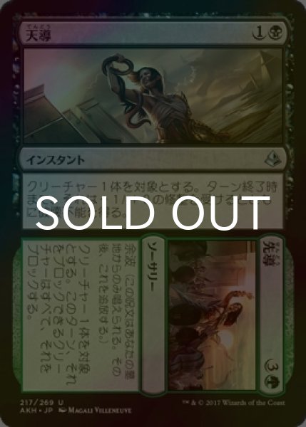 画像1: [FOIL] 天導&先導/Destined&Lead 【日本語版】 [AKH-金U] (1)