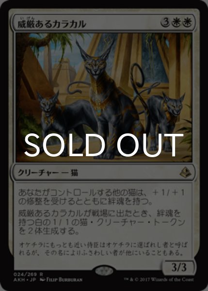 画像1: 威厳あるカラカル/Regal Caracal 【日本語版】 [AKH-白R] (1)