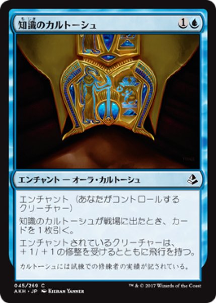 画像1: 知識のカルトーシュ/Cartouche of Knowledge 【日本語版】 [AKH-青C] (1)