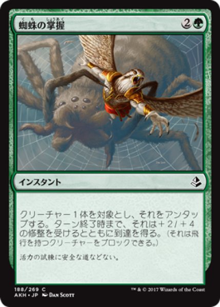 画像1: 蜘蛛の掌握/Spidery Grasp 【日本語版】 [AKH-緑C] (1)