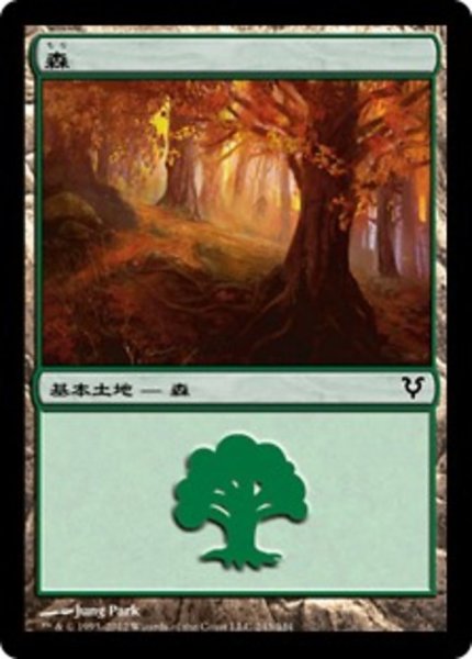 画像1: 森/Forest No.243 【日本語版】 [AVR-土地C] (1)