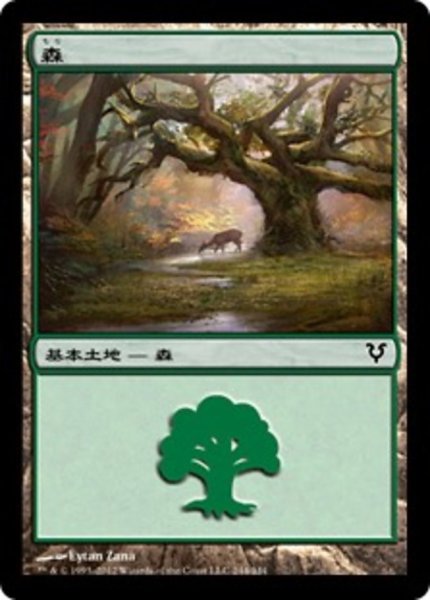 画像1: 森/Forest No.244 【日本語版】 [AVR-土地C] (1)