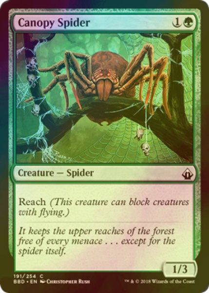 画像1: [FOIL] 梢の蜘蛛/Canopy Spider 【英語版】 [BBD-緑C] (1)