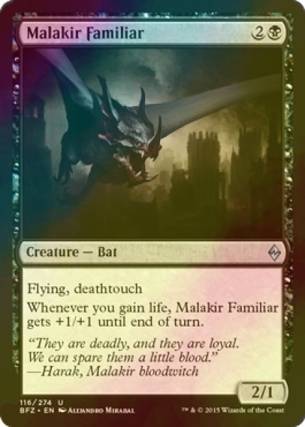 画像1: [FOIL] マラキールの使い魔/Malakir Familiar 【英語版】 [BFZ-黒U] (1)