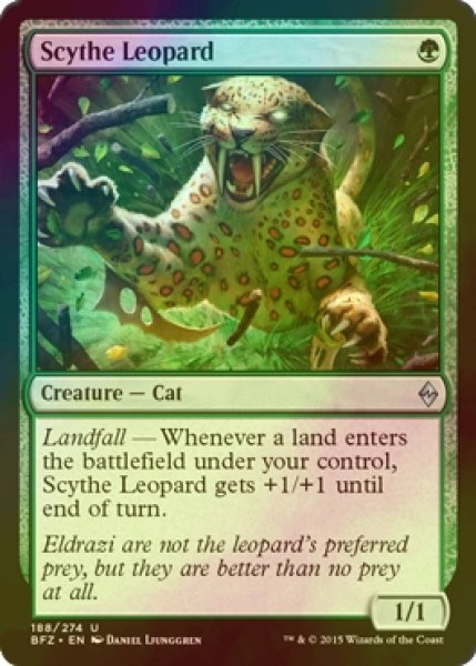 画像1: [FOIL] 鎌豹/Scythe Leopard 【英語版】 [BFZ-緑U] (1)