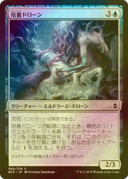 画像1: [FOIL] 培養ドローン/Incubator Drone 【日本語版】 [BFZ-青C] (1)