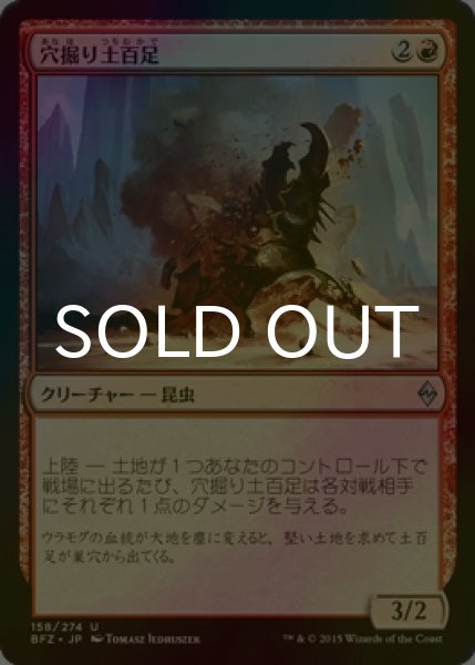 画像1: [FOIL] 穴掘り土百足/Tunneling Geopede 【日本語版】 [BFZ-赤U] (1)