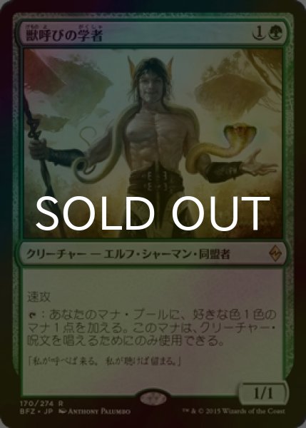 画像1: [FOIL] 獣呼びの学者/Beastcaller Savant 【日本語版】 [BFZ-緑R] (1)