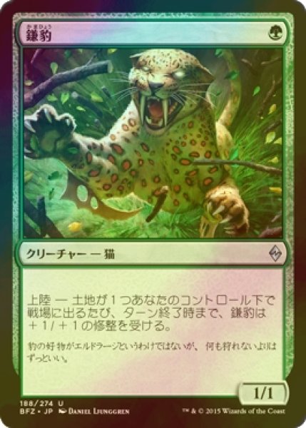 画像1: [FOIL] 鎌豹/Scythe Leopard 【日本語版】 [BFZ-緑U] (1)