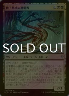 MTG アガディームの覚醒 foil ４枚組 マジック：ザ・ギャザリング - 【foil】 アガディームの覚醒の
